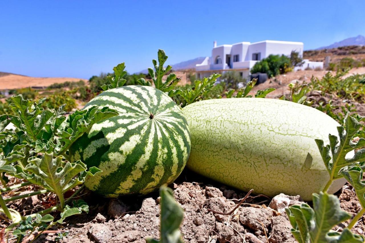 Апартаменти Relaxia Estate Naxos Galini  Екстер'єр фото